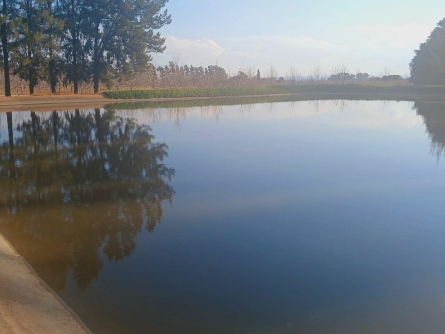 6 Bedroom Property for Sale in Hartswater Northern Cape